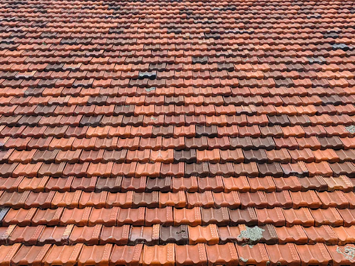 Schone rode dakpannen